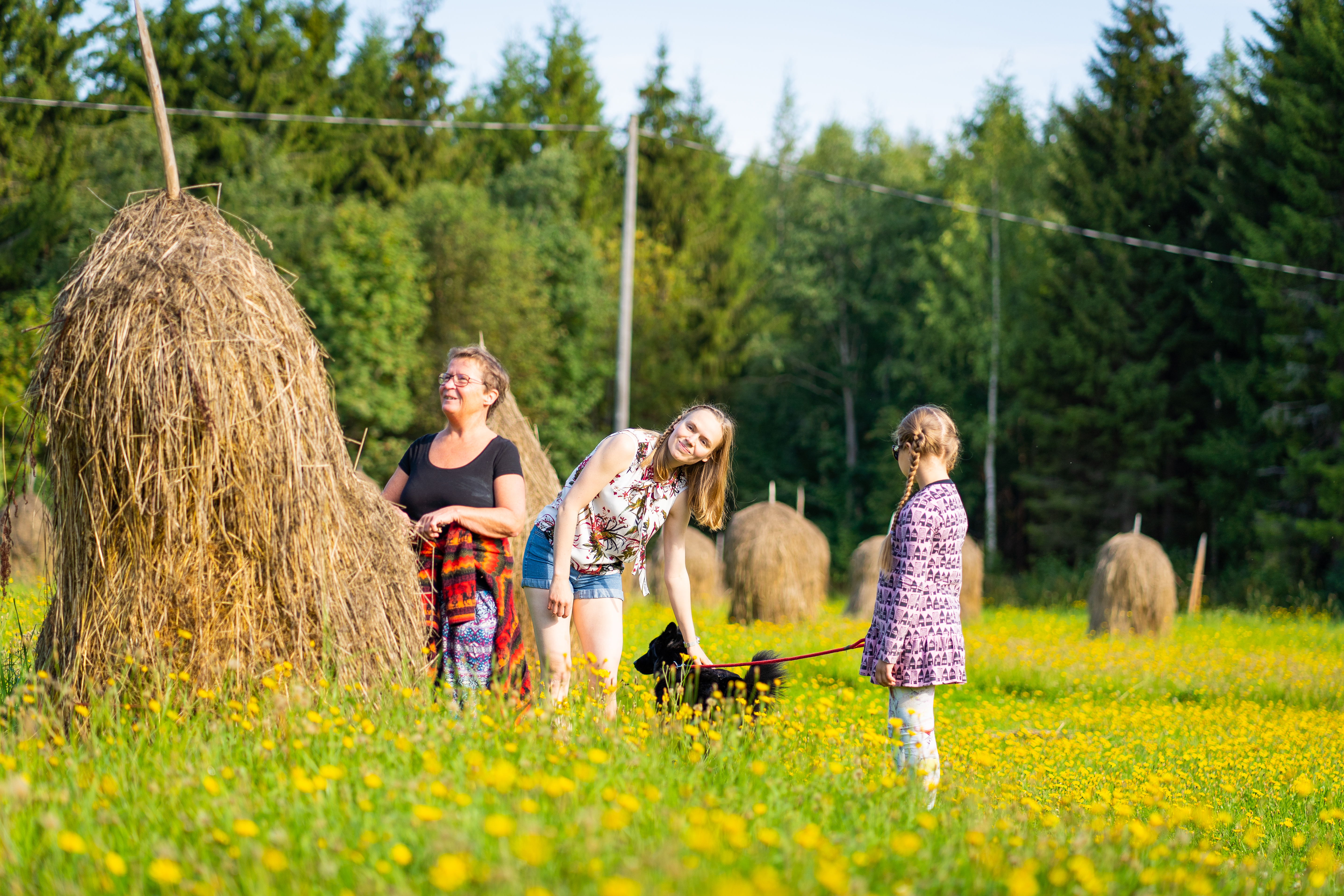 Matkailun monet mahdollisuudet maatiloille: Vapaaehtoismatkailu​